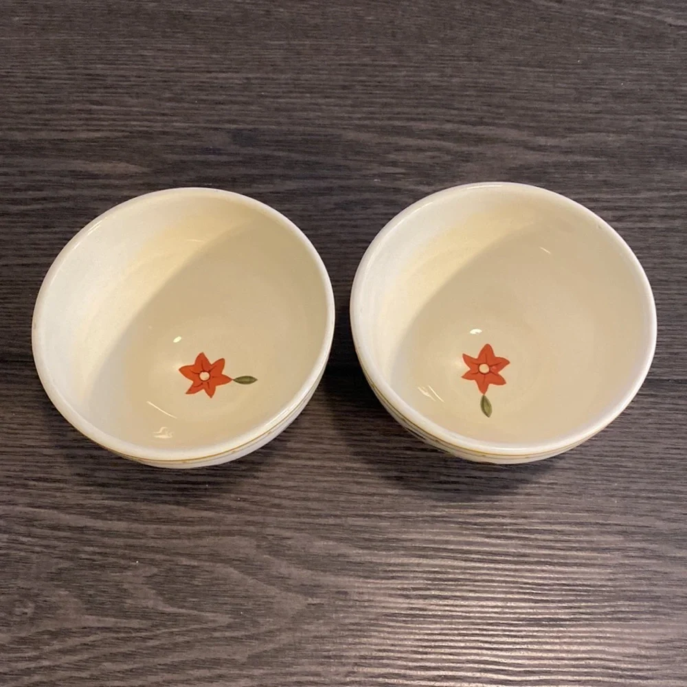 World Market (2) pair of small bowls. Cream with leaves and flowers. Cute!